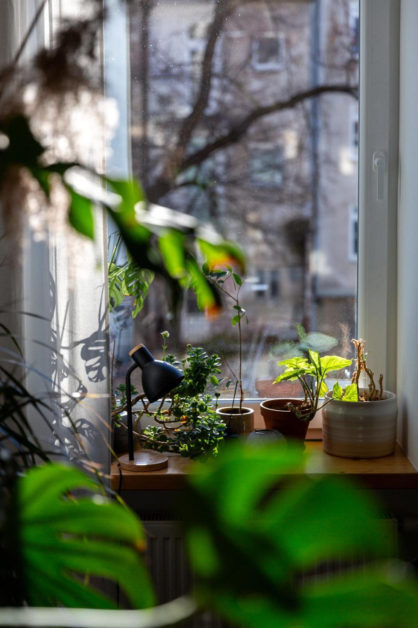 Evergreen - Old Town Spacious Stylish Apartment With Ac And One And A Half Bath, Baby & Kid- Friendly Bratislava Exterior foto