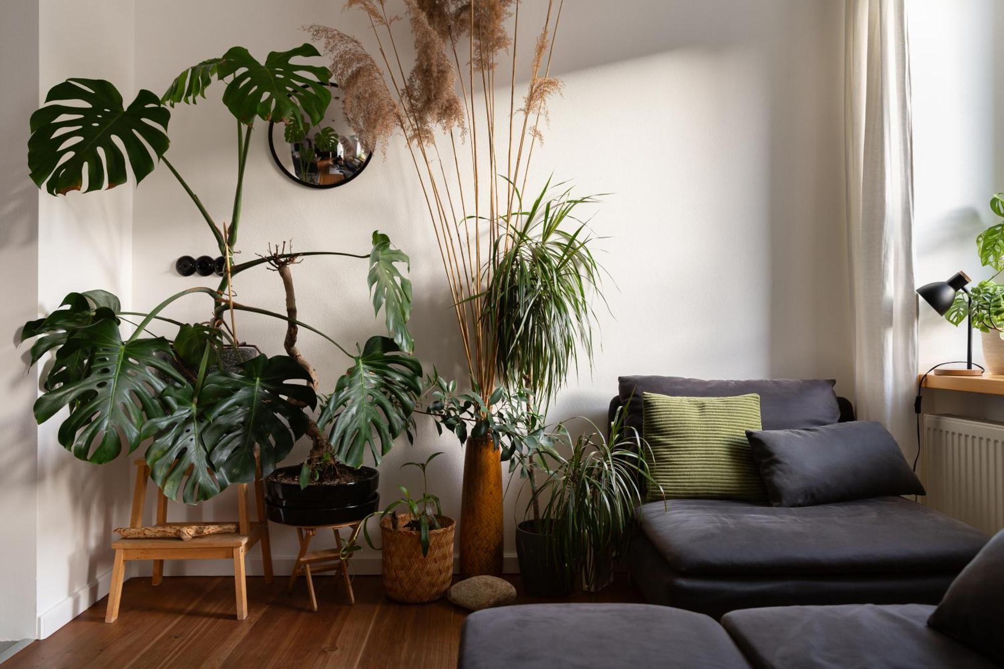 Evergreen - Old Town Spacious Stylish Apartment With Ac And One And A Half Bath, Baby & Kid- Friendly Bratislava Exterior foto