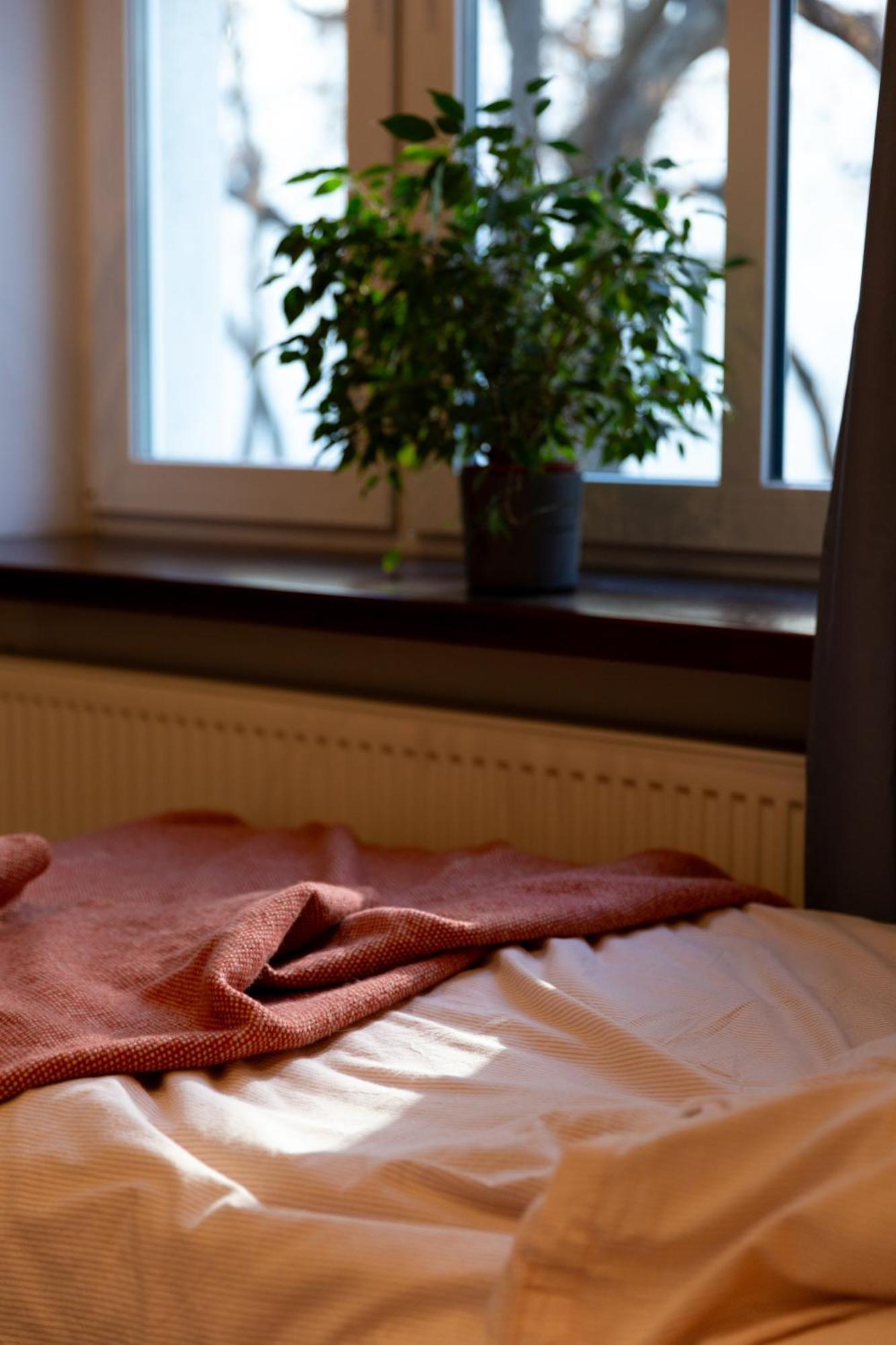 Evergreen - Old Town Spacious Stylish Apartment With Ac And One And A Half Bath, Baby & Kid- Friendly Bratislava Exterior foto